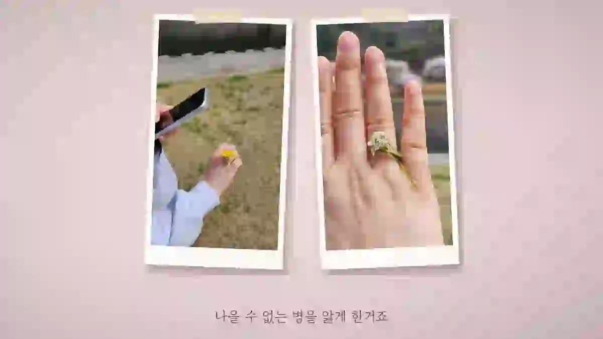 풀밭에서 무언가를 집어 든 손 사진과 반지를 낀 손가락을 가까이 찍은 사진이 폴라로이드 두 장으로 놓인 장면