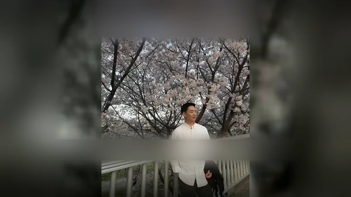 벚꽃이 핀 나무 아래 난간 옆에 흰 셔츠를 입은 신랑이 옆을 보고 선 세로 사진을 가로 화면 가운데에 놓고 양옆을 흐리게 채운 장면
