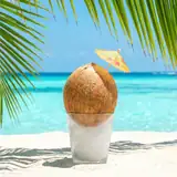 섬 여행 앨범 커버