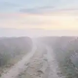 포근한 꿈길 앨범 커버