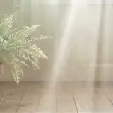 햇살 한 조각 앨범 커버