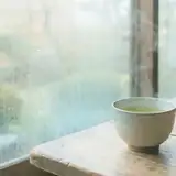 빗속의 찻집 앨범 커버